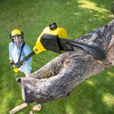 Best Lawn Mowing  in Gun Barrel City, TX